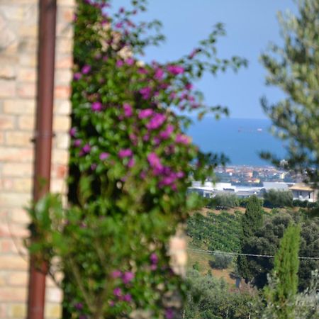 Agriturismo Il Sapore Della Luna Monteprandone Dış mekan fotoğraf