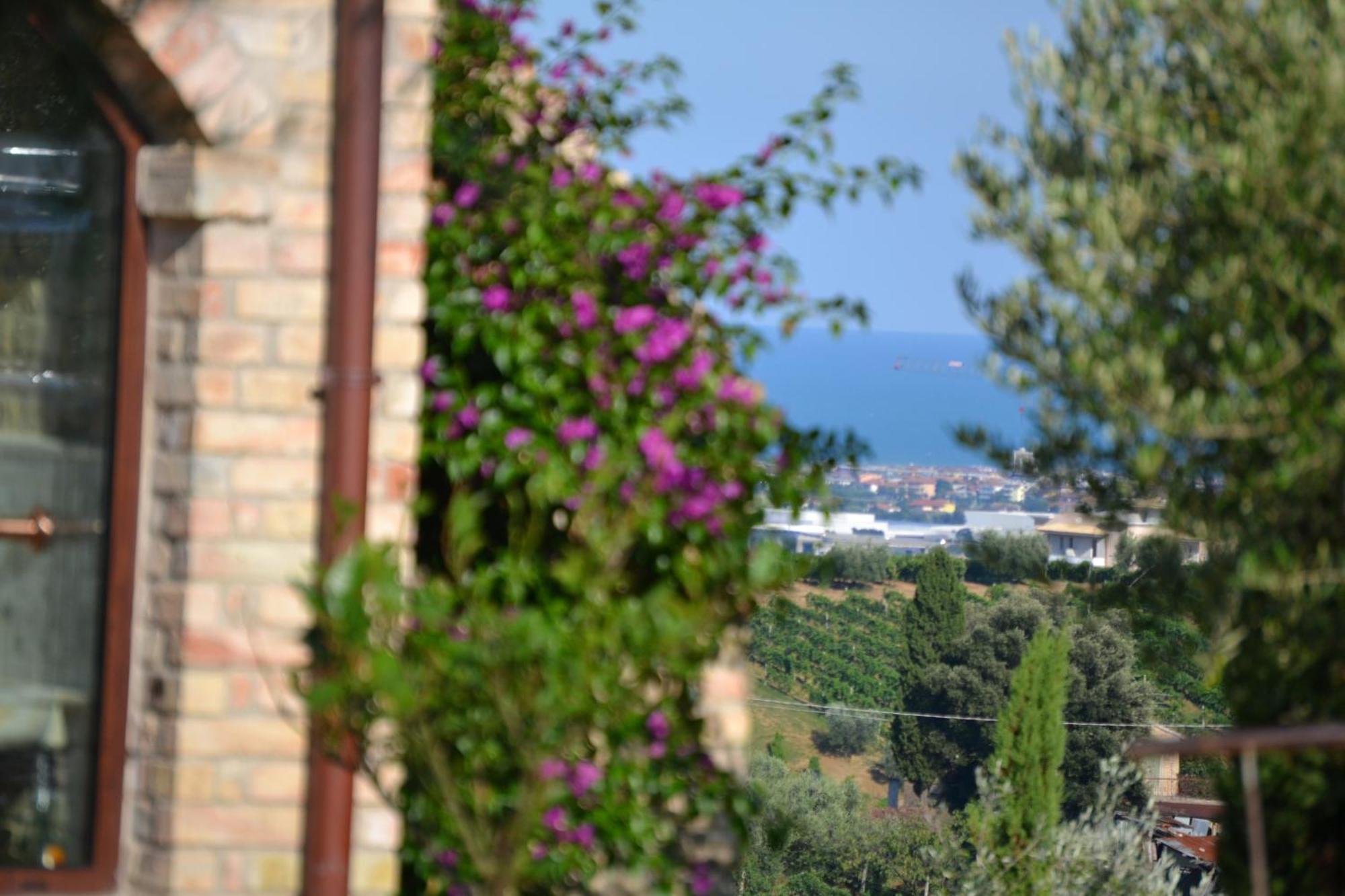 Agriturismo Il Sapore Della Luna Monteprandone Dış mekan fotoğraf