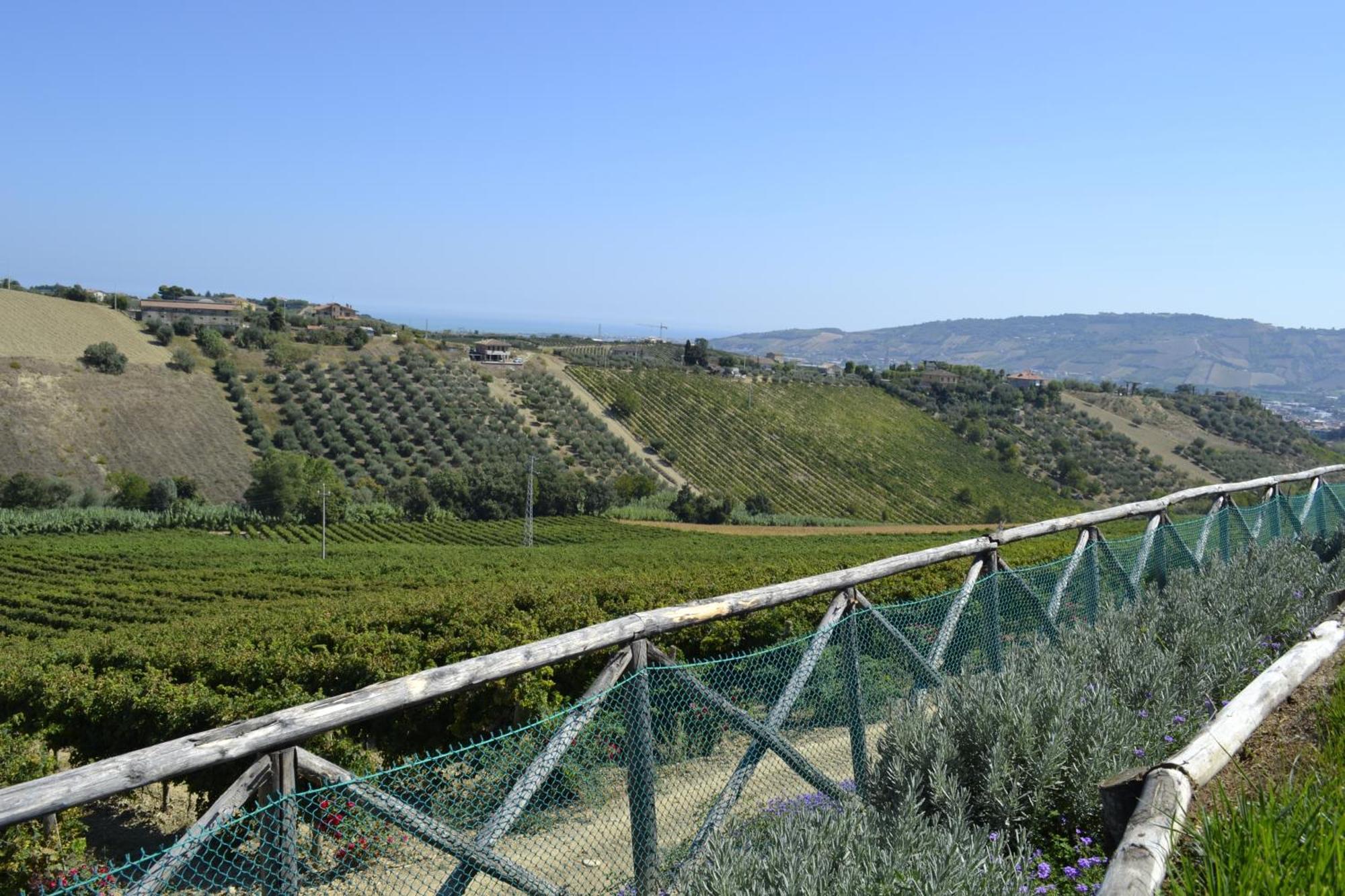 Agriturismo Il Sapore Della Luna Monteprandone Dış mekan fotoğraf