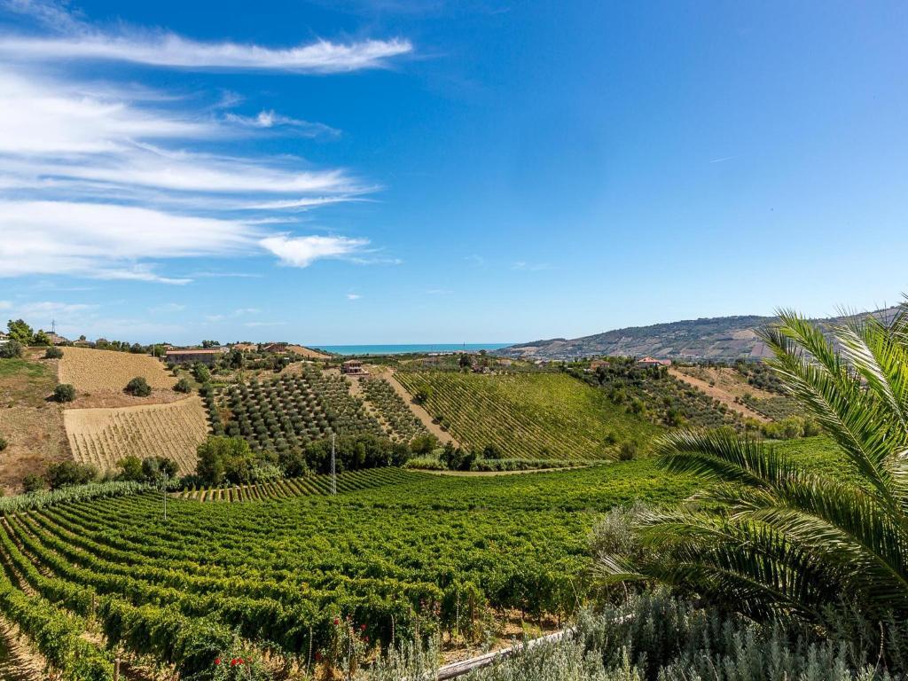Agriturismo Il Sapore Della Luna Monteprandone Dış mekan fotoğraf