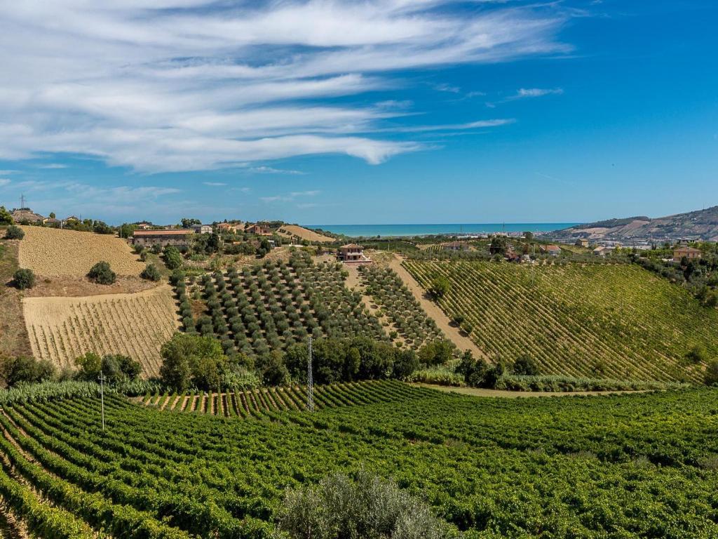 Agriturismo Il Sapore Della Luna Monteprandone Dış mekan fotoğraf